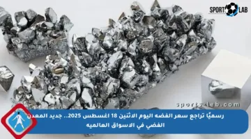 رسميًا تراجع سعر الفضة اليوم الإثنين 18 أغسطس 2025.. جديد المعدن الفضي في الأسواق العالمية